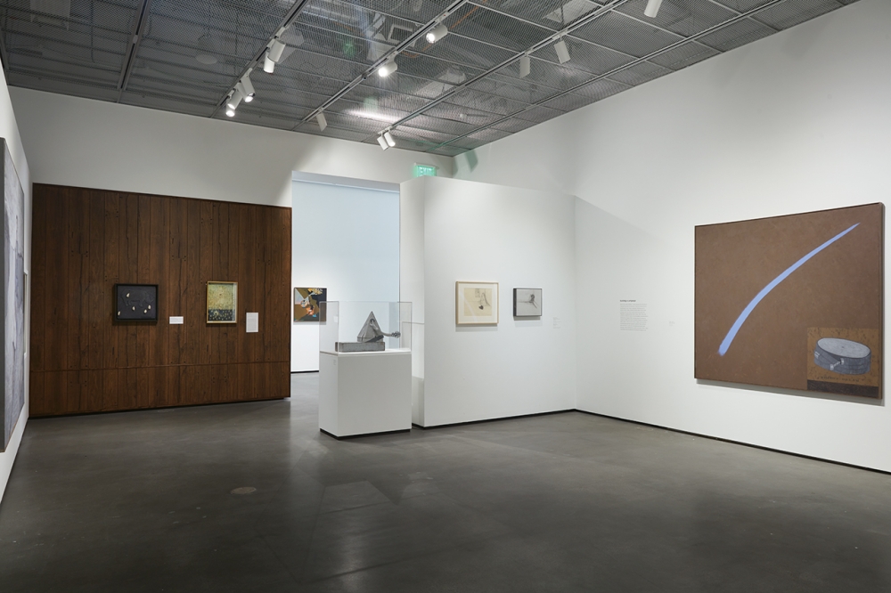 William T. Wiley and the Slant Step installation view