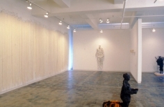 Lesley Dill Installation View