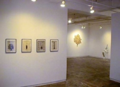 Exhibition Installation