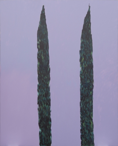 The Cypress Trees 1980